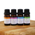Miami Collection Essential Oil Blend Set