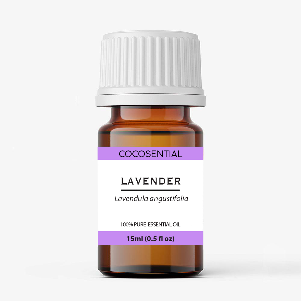 Cocoon Company Lavender Oil – Elenfhant